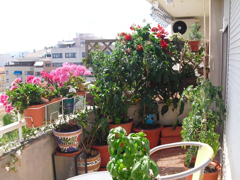 JARDIN