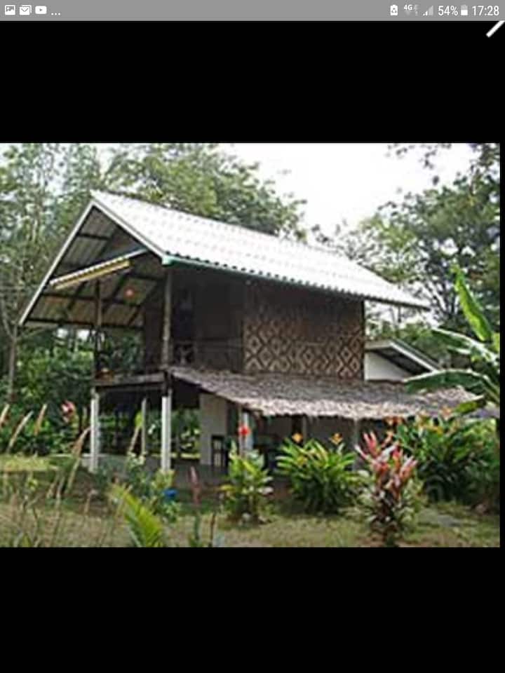 Koh Phayam Sanctuary - Ko Chang