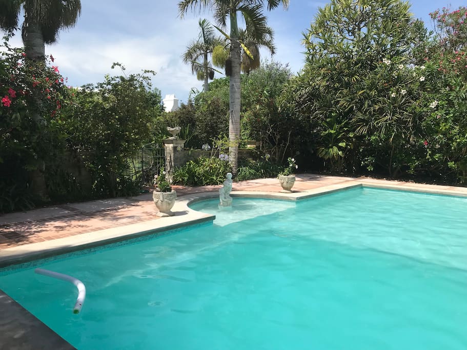 Pool is Open!