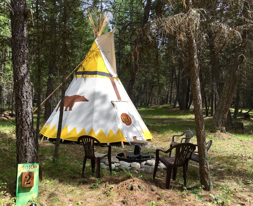 0 bear tipi