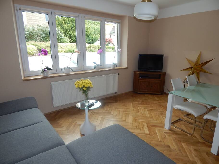 living room + is a sofa bed