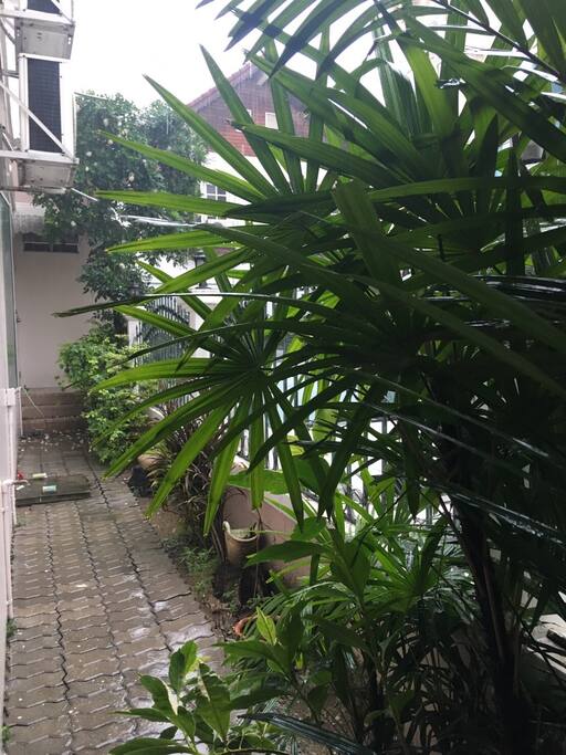 Side garden