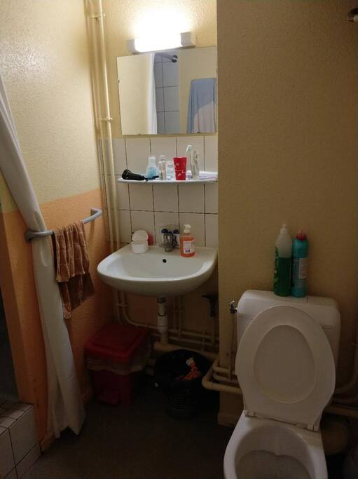 toilet