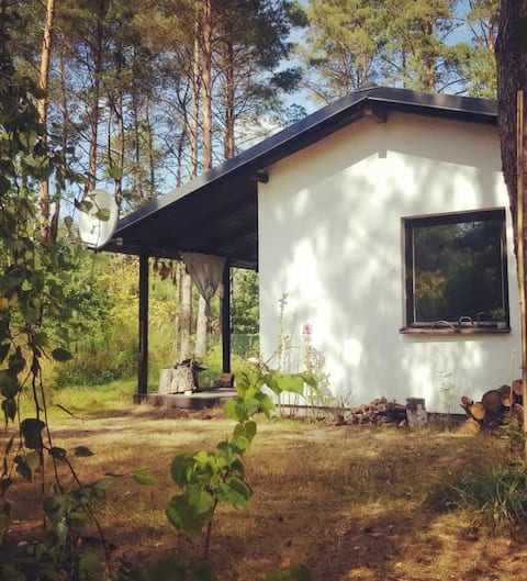 Remote cosy cottage in Kaszuby