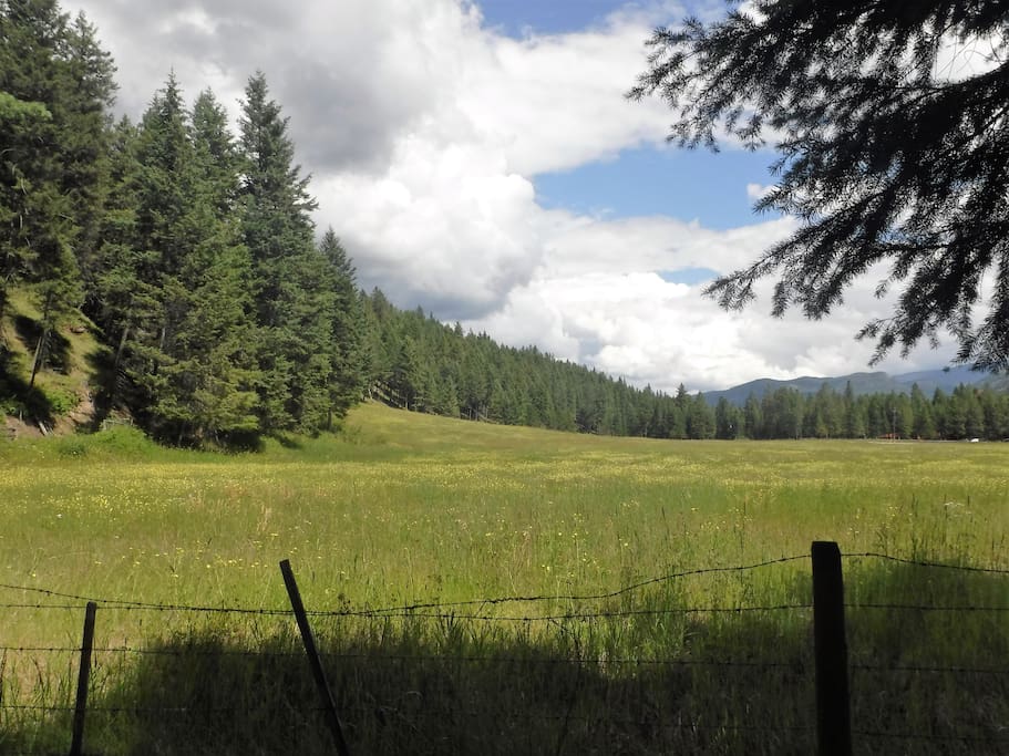 View from the property