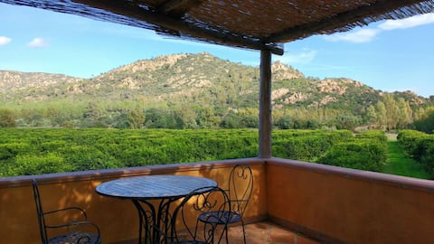 Charming apartment in the heart of a citrus farm.