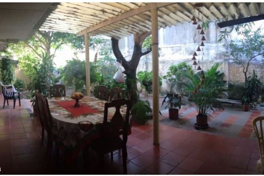 Patio/Backyard