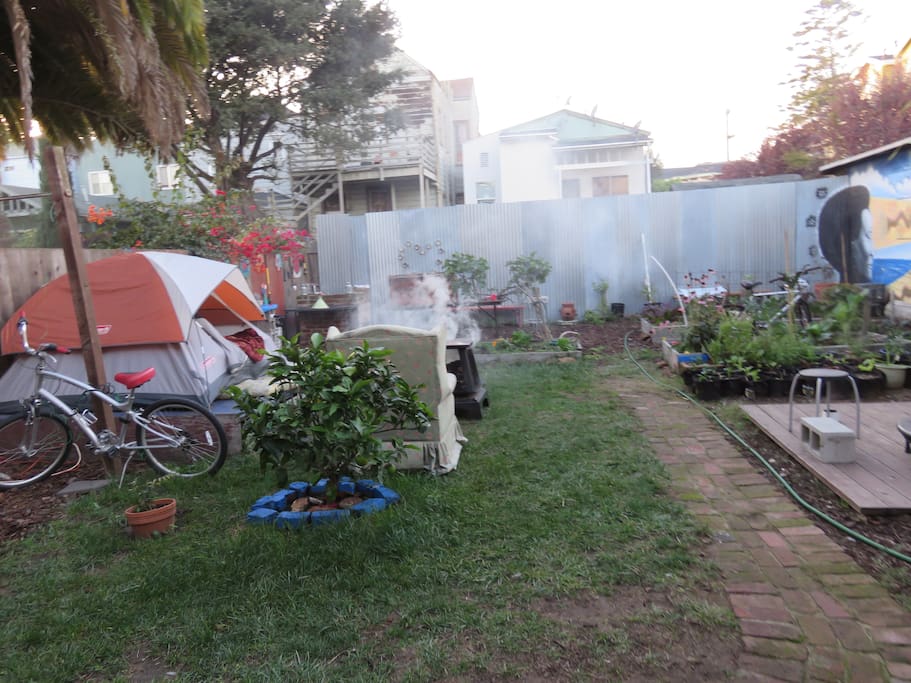 View of garden from back door