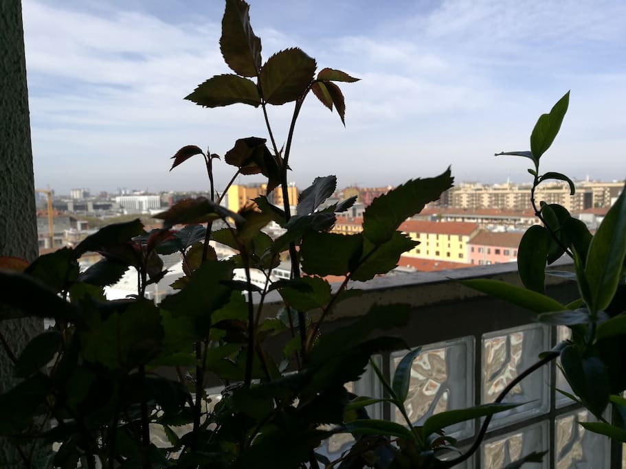 vista dal balcone