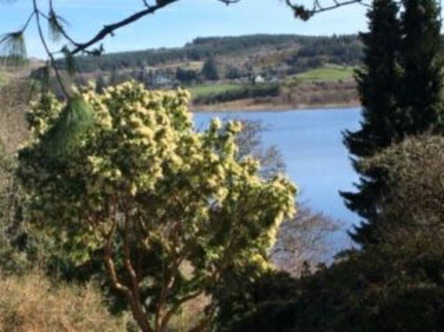 A beautiful view of Callow Lake seen from the house.