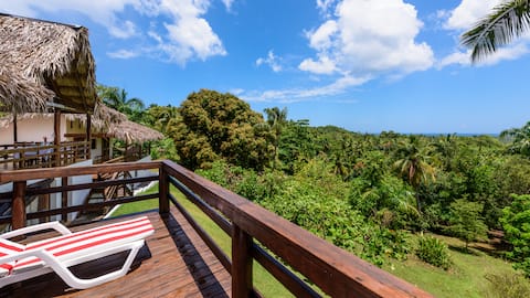 Villa avec vue sur mer dans grand jardin tropical