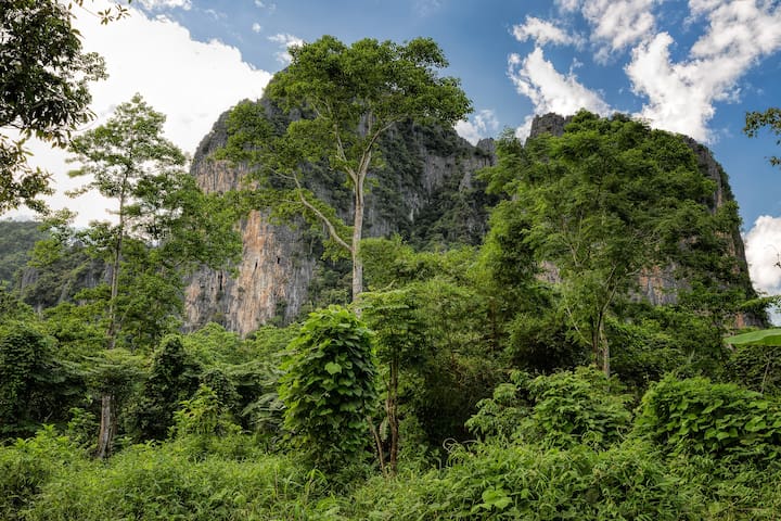 Airbnb Laos Ferienwohnungen Unterkunfte