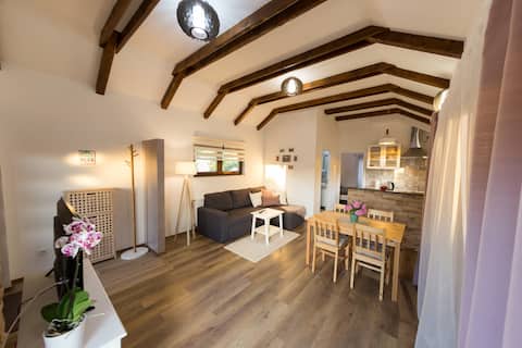 Top performing Airbnb: Apartment Maja in Grad Otočac