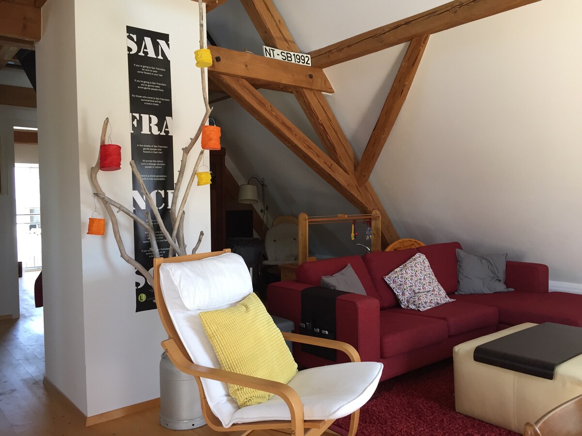 Top Airbnb: Charming "penthouse" apartment à Ravensburg