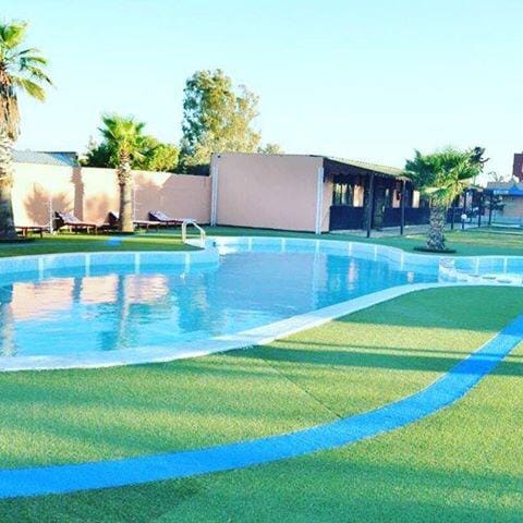 A swimming pool is surrounded by well-manicured artificial grass, with palm trees providing shade. Comfortable lounge chairs are positioned nearby. The pool's clear water reflects a bright blue sky, creating a serene outdoor atmosphere.