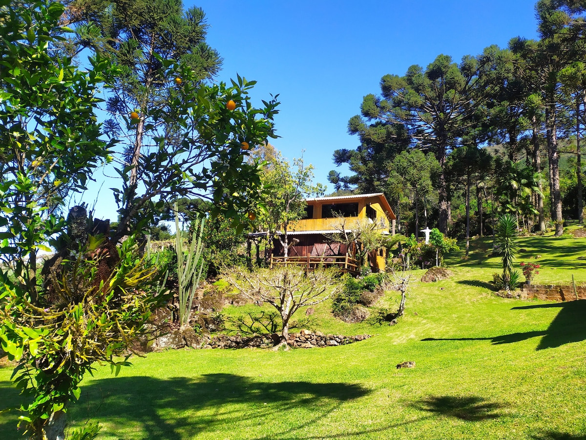 A rustic chalet is set in a lush green landscape, surrounded by vibrant trees and manicured grass. The structure features a wooden exterior, with large windows that reflect the sunlight. The serene environment is complemented by diverse vegetation, enhancing the sense of tranquility.