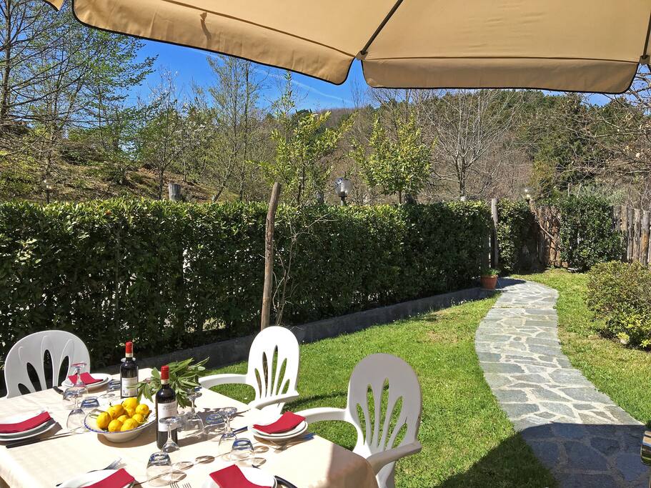 garden