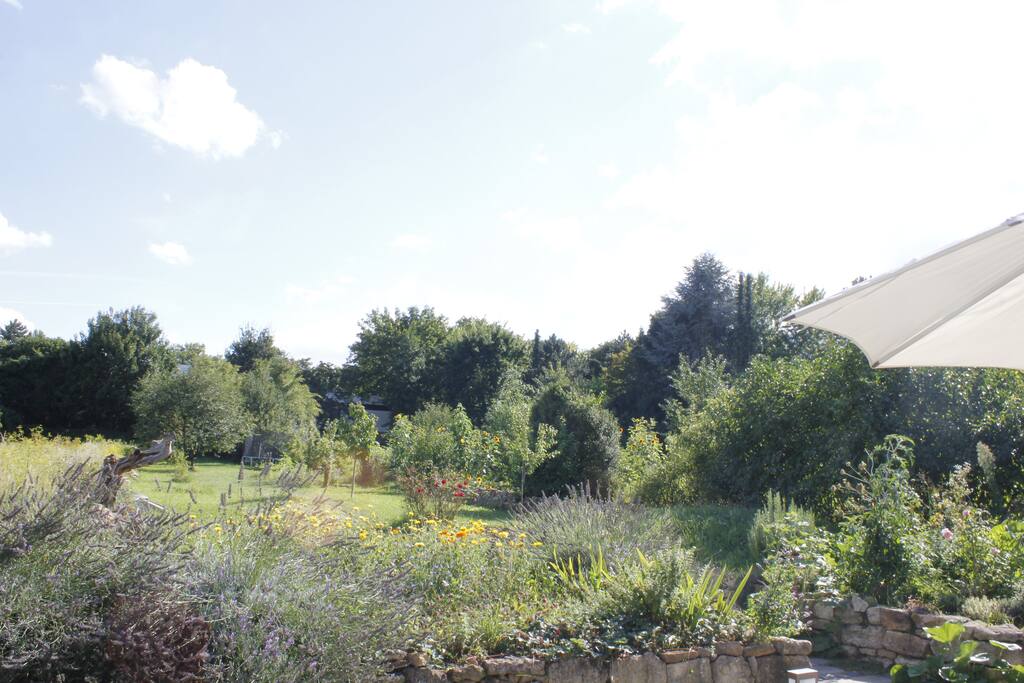 Parkähnlicher Garten- mehr als 1.100 m² zum Wohlfühlen und/oder Toben.