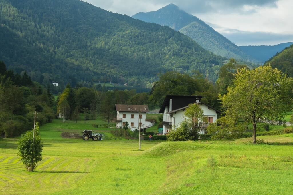 Vista