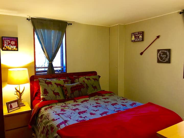 Chumba cha kiwango cha chini kilicho na kitanda cha malkia 