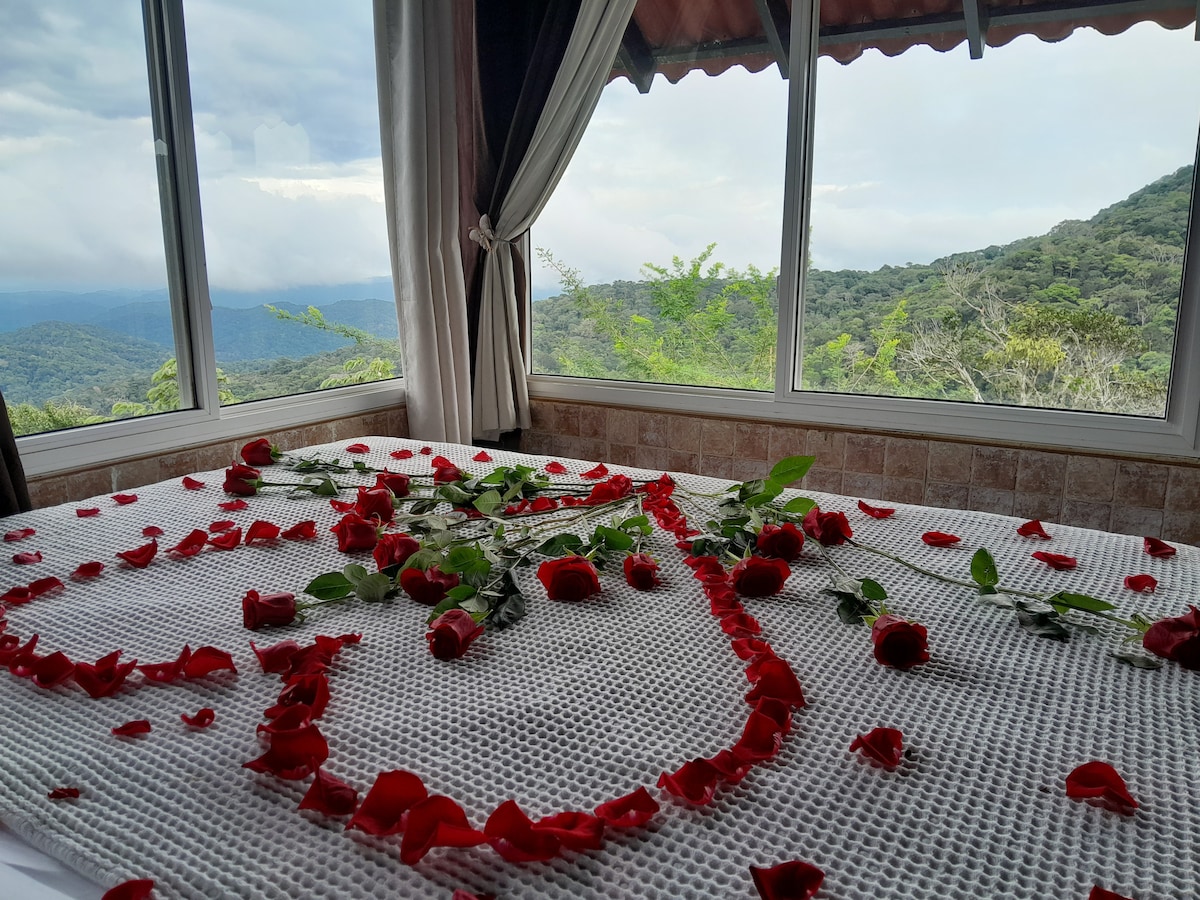 A spacious bed is adorned with red rose petals arranged in an inviting pattern. Large windows frame views of the lush green mountains, allowing natural light to fill the room while sheer curtains softly filter the incoming light.