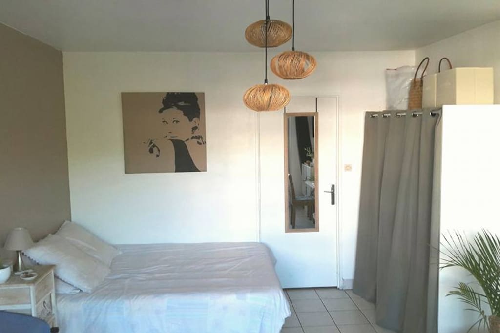 L'espace vie composé d'un lit en 140, un dressing et le coin salon, séparé de la cuisine