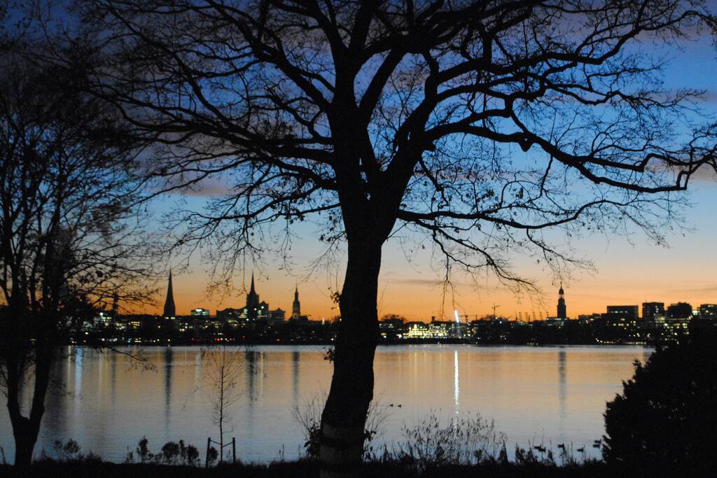 Blick von unserem Grundstück aus auf Außenalster und Innenstadt