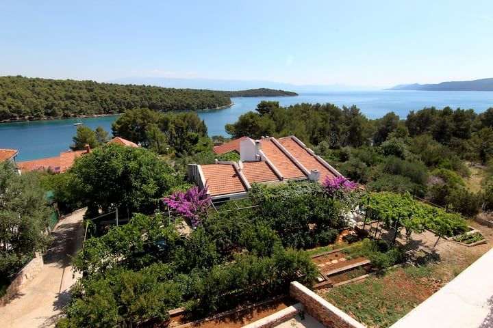 Cosy Apartment Hvar 50m From The Beach - Jelsa