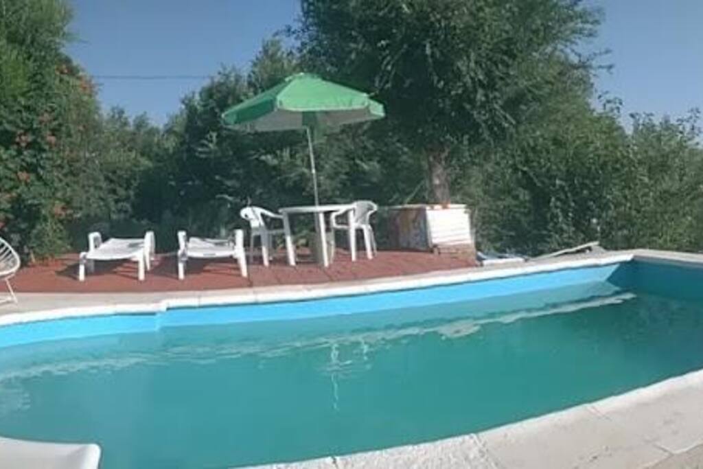 Pileta exclusiva para los visitantes