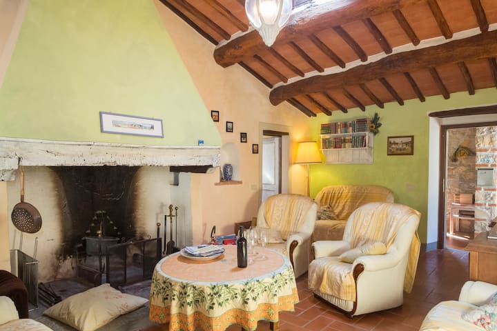 Casa Pineta - Authentic  4br/4ba Farmhouse - Tuscany