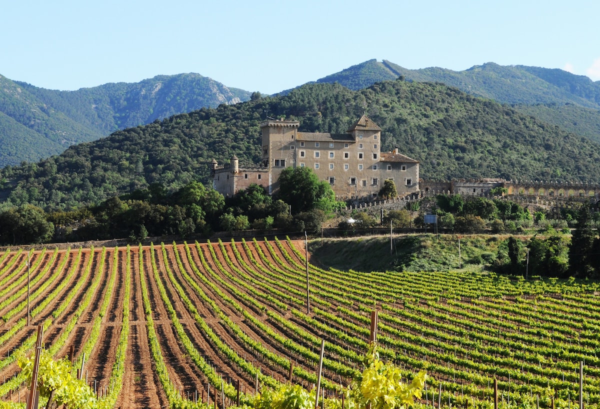 The twelfth-century castle is prominently positioned on a hillside, surrounded by lush green vineyards that stretch across the landscape. Rolling mountains serve as a backdrop, creating a serene rural setting under a clear blue sky.
