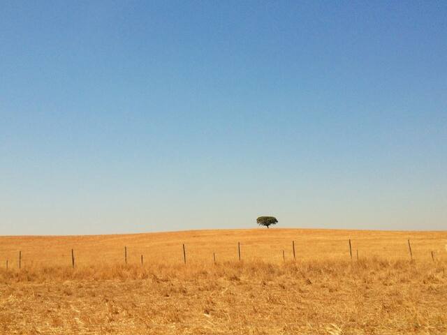 House Piririca -Feel like a Person of the Alentejo