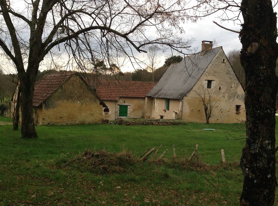 Vue du bois