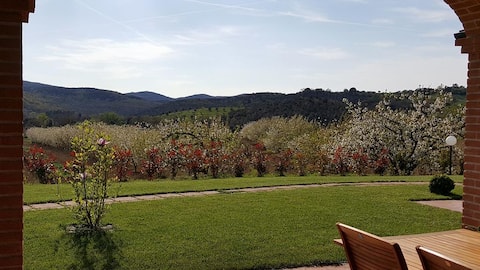 Top performing Airbnb: Relaxation at the Giardino dei Ciliegi in Massa Marittima