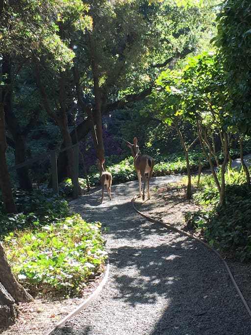 Area outside the apartment