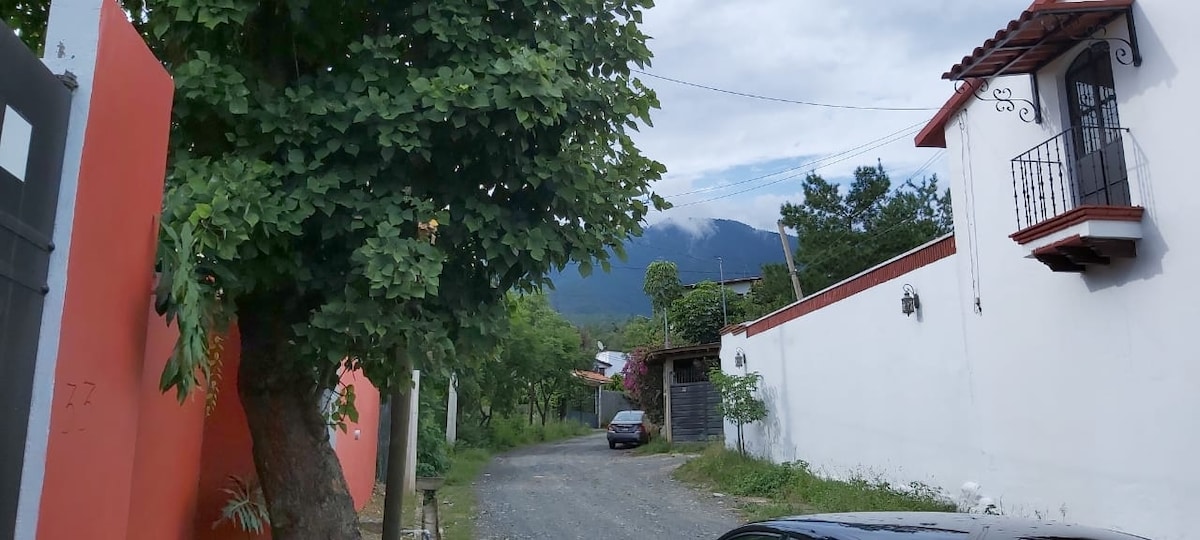 A gravel pathway meanders through a lush landscape, bordered by tall trees and greenery. On the right, a white wall features decorative elements, with a balcony overflowing with plants above. The mountains are visible in the distance, partially enveloped by clouds.