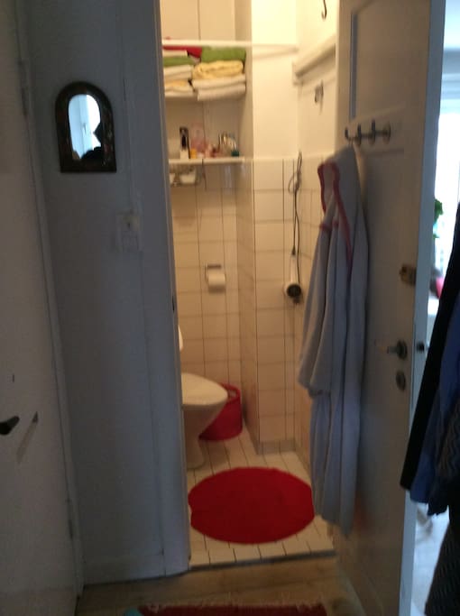 The bathroom