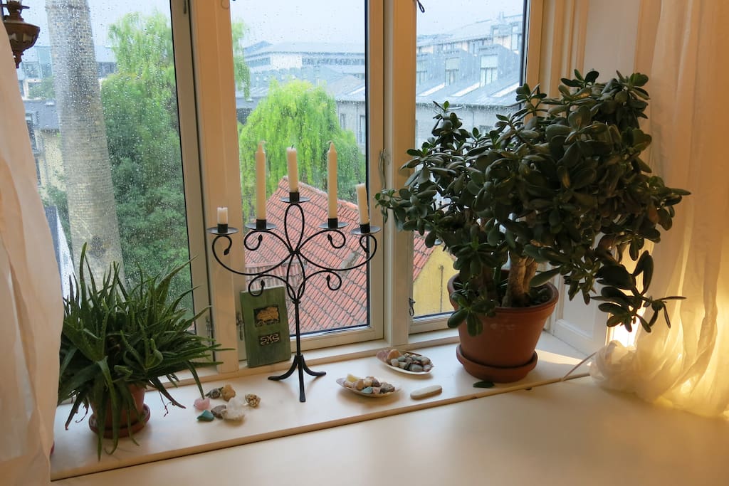 Wiev from the window.