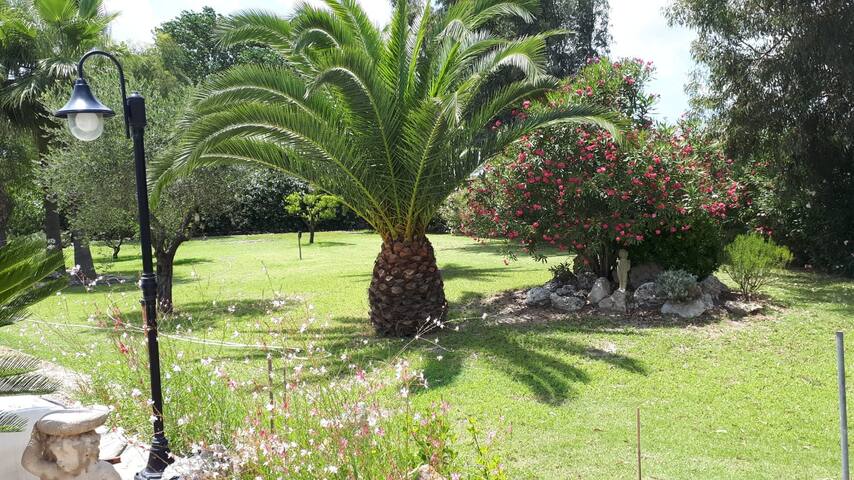 Beautiful, secluded villa in Cutrofiano gallery image 5