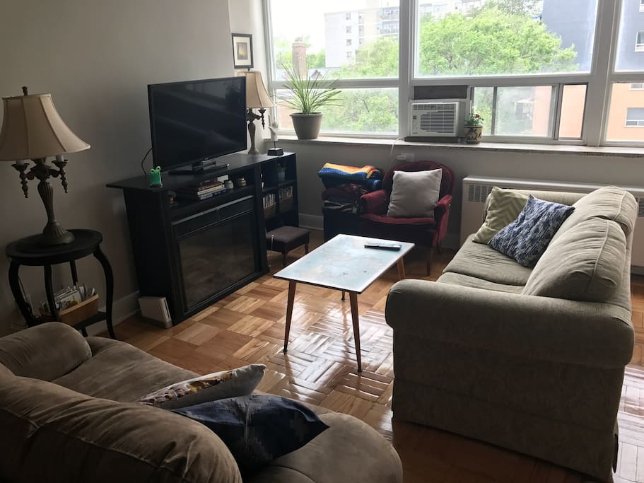 Living room 2 with pullout couch