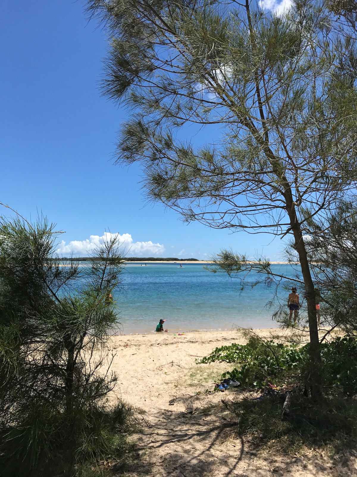 A sandy beach scene is framed by trees, showcasing a clear blue river and light waves gently lapping the shore. People can be seen enjoying the water, with distant clouds creating a serene backdrop.
