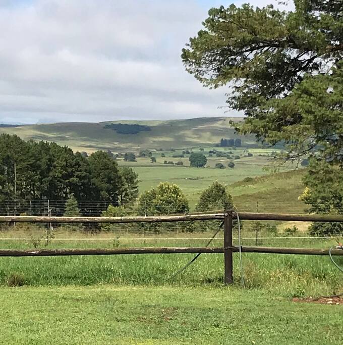 Berg View