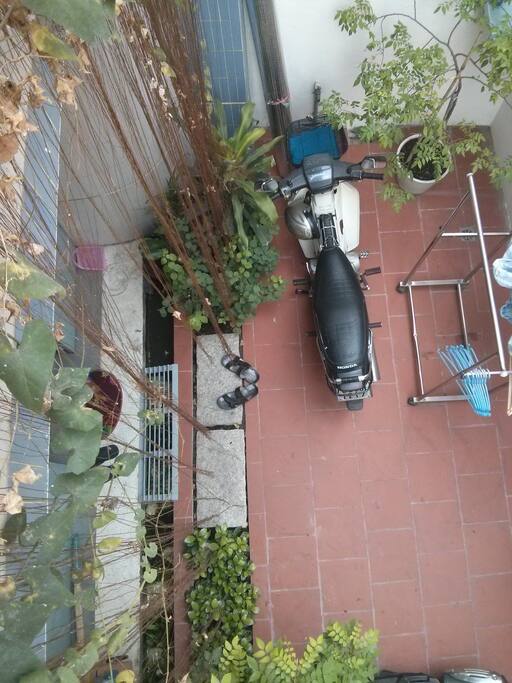 A view from above. Main yard.