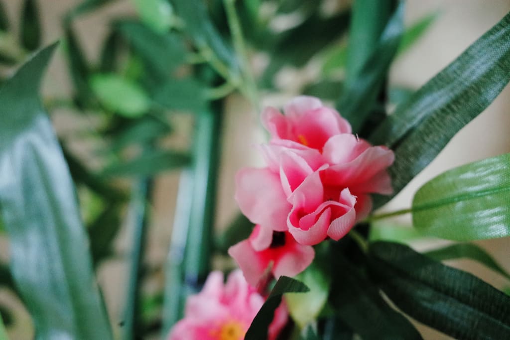 桃花竹子