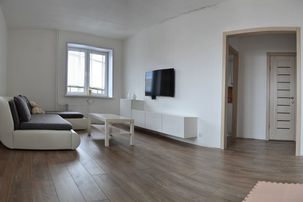 room with sofa bed and TV