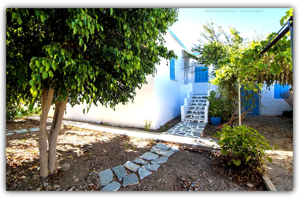 Entrance, garden view