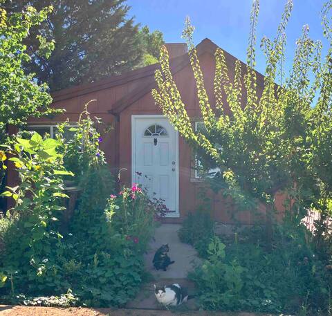 Kitty Cottage:Fast Wi-fi, Secluded, Peaceful Oasis