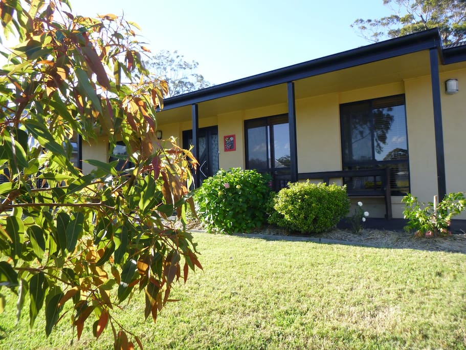 Open front yard