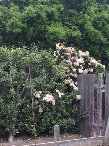 Sweet Haven-simple house, beautiful place