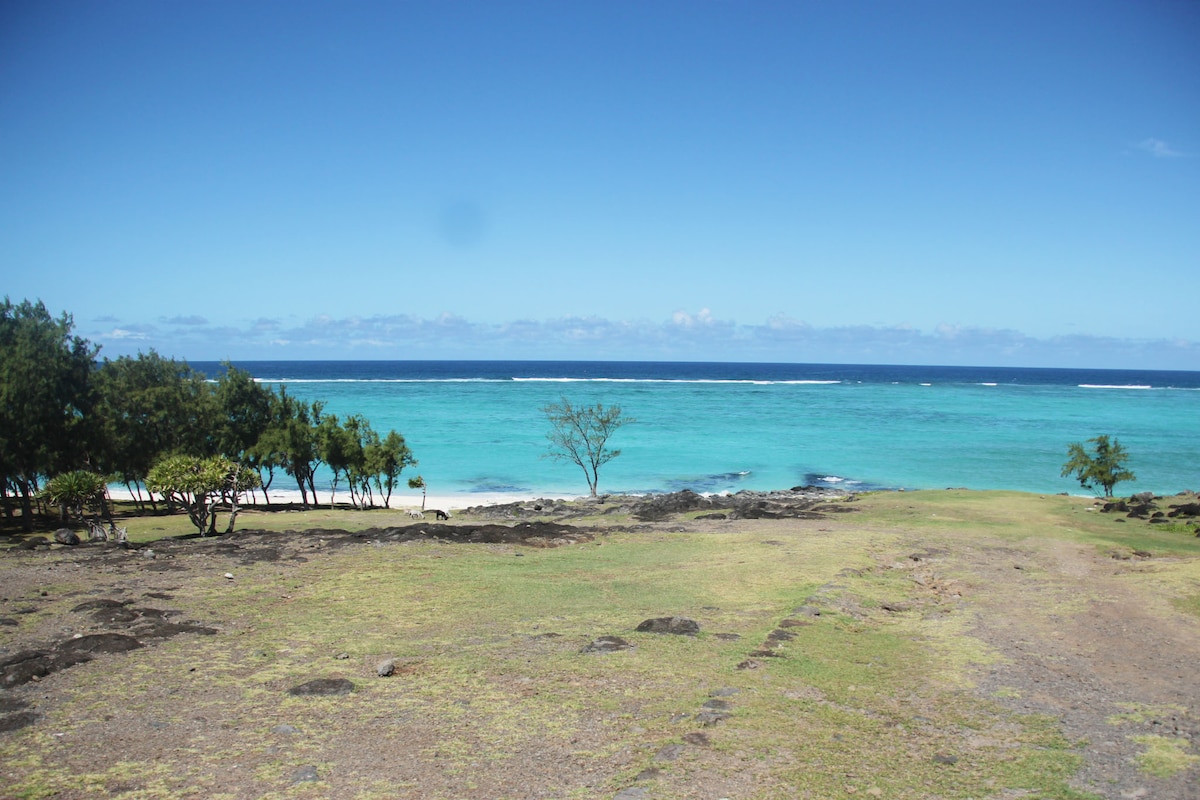 A wide view of the coastline reveals calm turquoise waters meeting a sandy beach. Rocky terrain with sparse vegetation is visible in the foreground, and a few trees are scattered along the shore, complementing the serene landscape under a clear blue sky.
